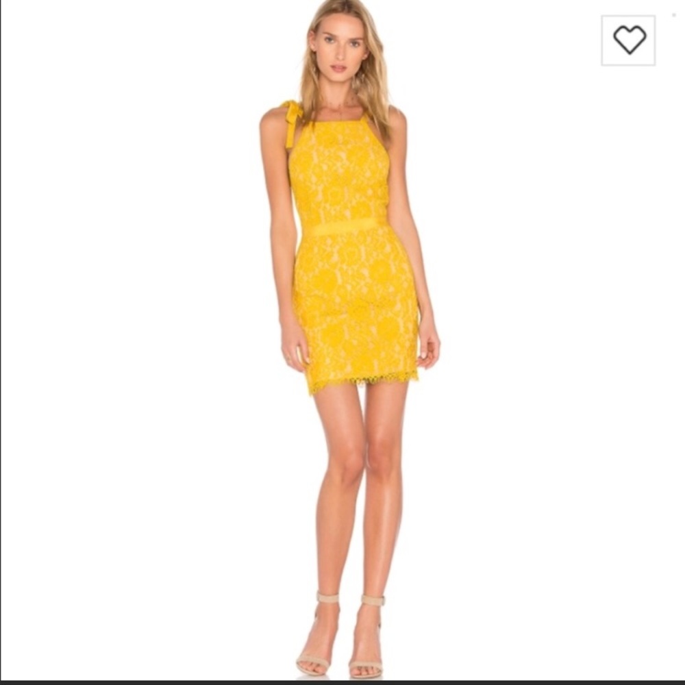 Revolve Endless Rose Dress